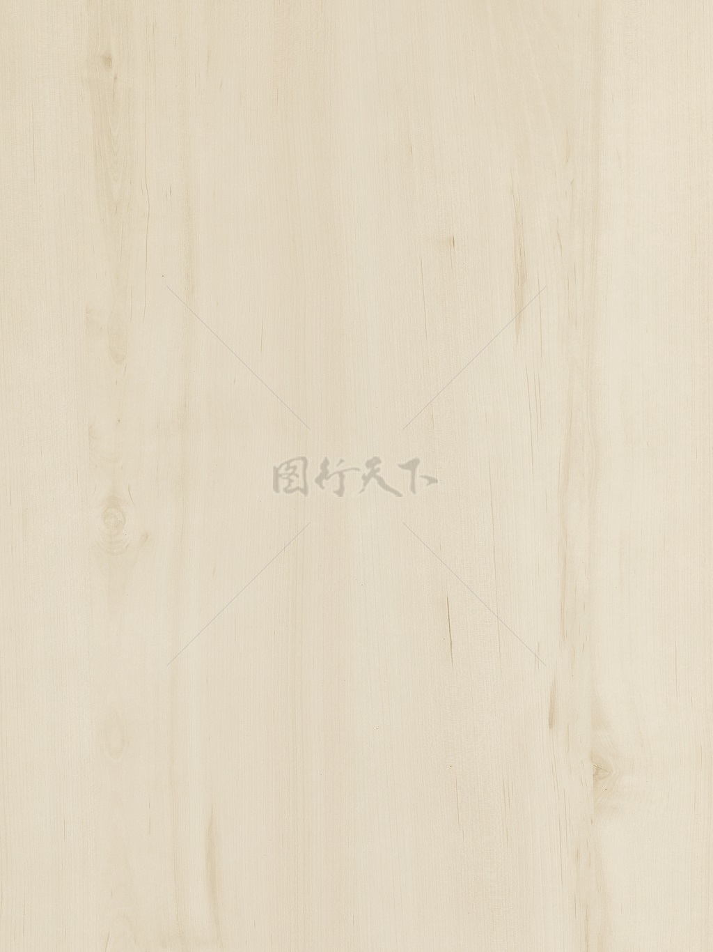 桦木木纹纹理背景图案贴图原木浅色